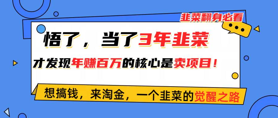 （10759期）悟了，当了3年韭菜，才发现网赚圈年赚100万的核心是卖项目，含泪分享！-靠谱项目库