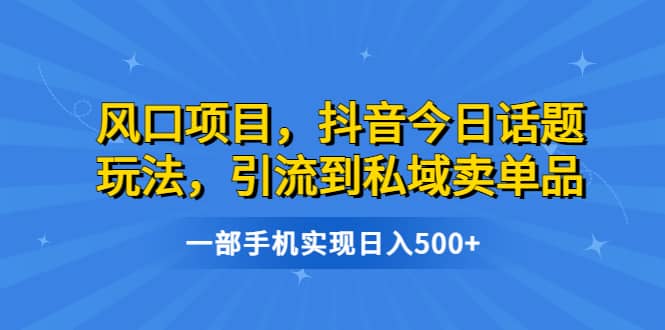 风口项目，抖音今日话题玩法，引流到私域卖单品，一部手机实现日入500+-靠谱项目库