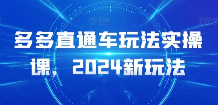 多多直通车玩法实操课，2024新玩法-靠谱项目库