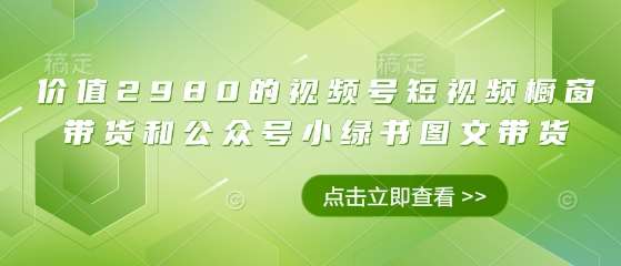 价值2980的视频号短视频橱窗带货和公众号小绿书图文带货-靠谱项目库