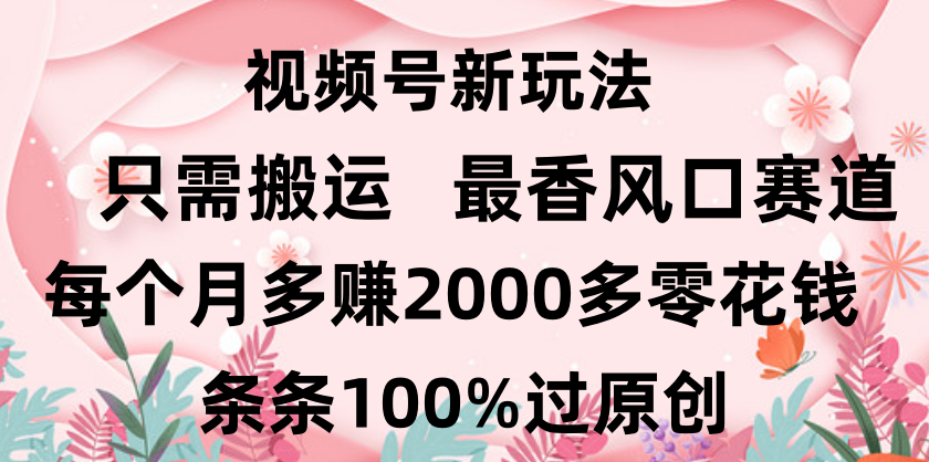 日入2000+，条条100%过原创，视频号最香风口赛道，小白轻松上手-靠谱项目库
