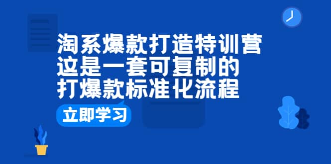 淘系爆款打造特训营：这是一套可复制的打爆款标准化流程-靠谱项目库