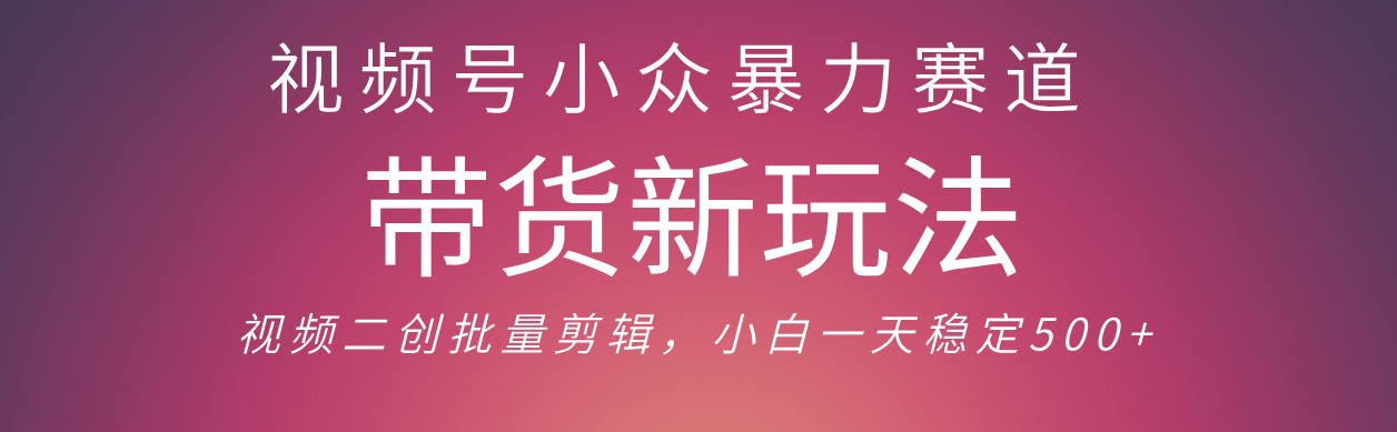 视频号小众暴力赛道，最新带货玩法 小白也能轻松日入500+ 保姆及教程-靠谱项目库