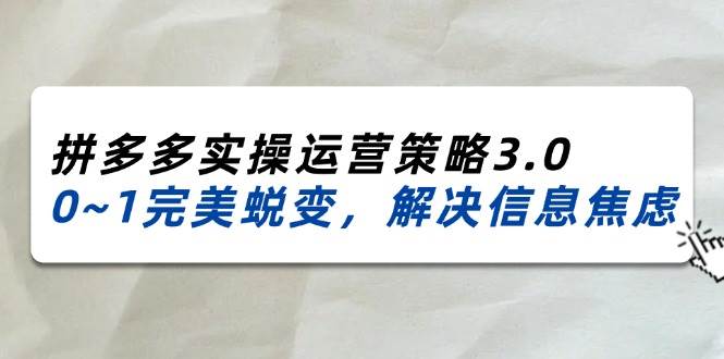 （11658期）2024_2025拼多多实操运营策略3.0，0~1完美蜕变，解决信息焦虑（38节）-靠谱项目库