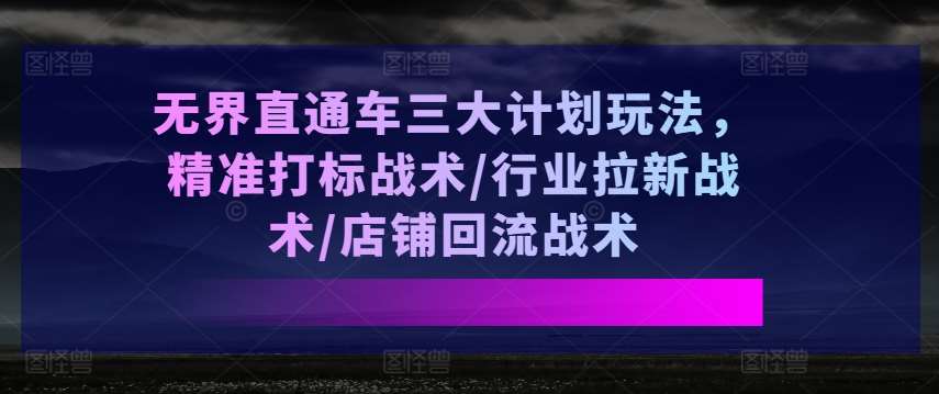 无界直通车三大计划玩法，精准打标战术/行业拉新战术/店铺回流战术-靠谱项目库