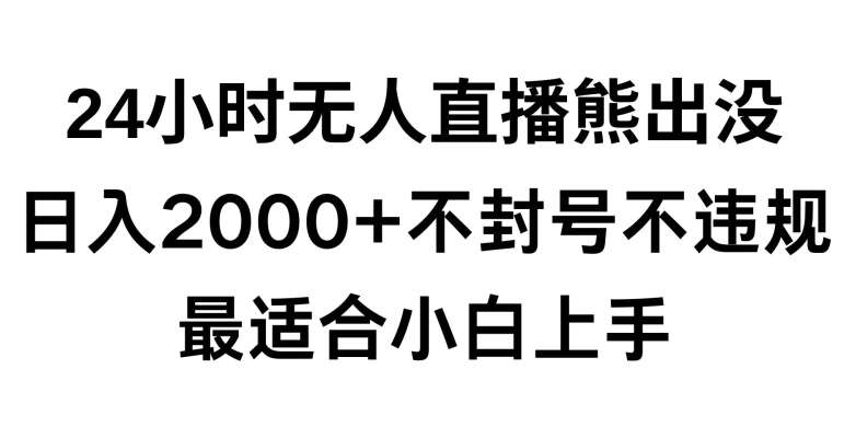 快手24小时无人直播熊出没，不封直播间，不违规，日入2000+，最适合小白上手，保姆式教学【揭秘】-靠谱项目库
