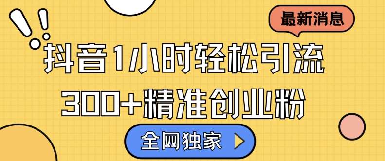 全网独家抖音引流，轻松日引300+精准创业粉【揭秘】-靠谱项目库