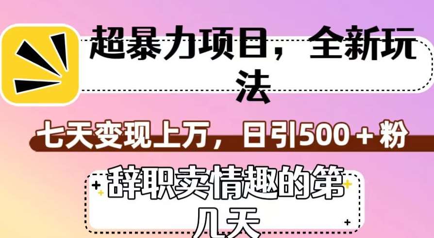 超暴利项目，全新玩法（辞职卖情趣的第几天），七天变现上万，日引500+粉【揭秘】-靠谱项目库
