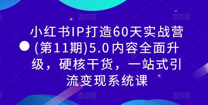 小红书IP打造60天实战营(第11期)5.0​内容全面升级，硬核干货，一站式引流变现系统课-靠谱项目库