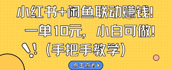 小红书+闲鱼联动挣钱，一单10元，小白可做-靠谱项目库