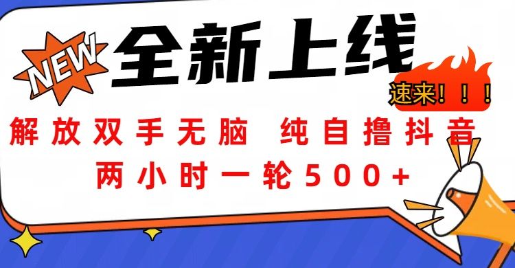 解放双手无脑 纯自撸抖音 两小时一轮500+-靠谱项目库