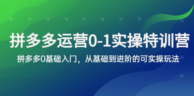 拼多多-运营0-1实操训练营，拼多多0基础入门，从基础到进阶的可实操玩法-靠谱项目库