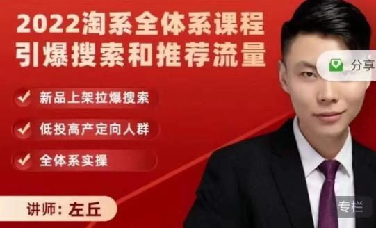 2022淘系全体系课程引爆搜索和推荐流量，新品上架拉爆搜索-靠谱项目库