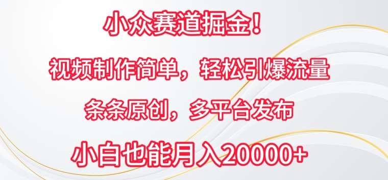小众赛道掘金，视频制作简单，轻松引爆流量，条条原创，多平台发布【揭秘】-靠谱项目库