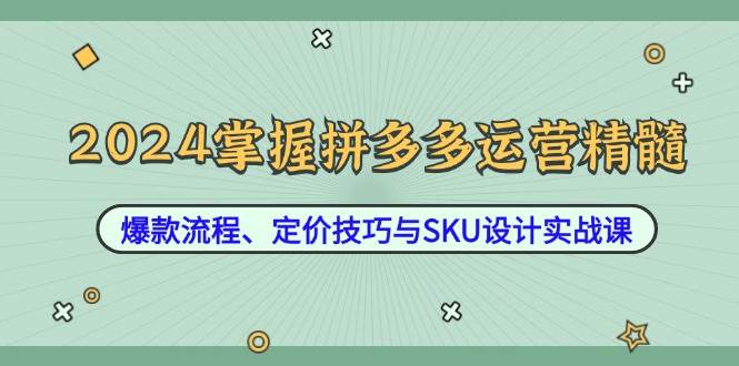 （12703期）2024掌握拼多多运营精髓：爆款流程、定价技巧与SKU设计实战课-靠谱项目库