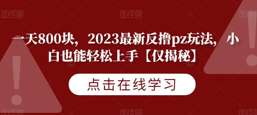 一天800块，2023最新反撸pz玩法，小白也能轻松上手【仅揭秘】-靠谱项目库