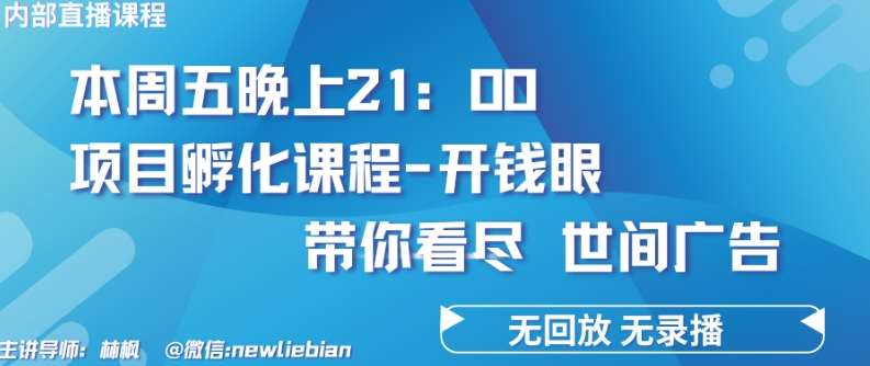 4.26日内部回放课程《项目孵化-开钱眼》赚钱的底层逻辑【揭秘】-靠谱项目库