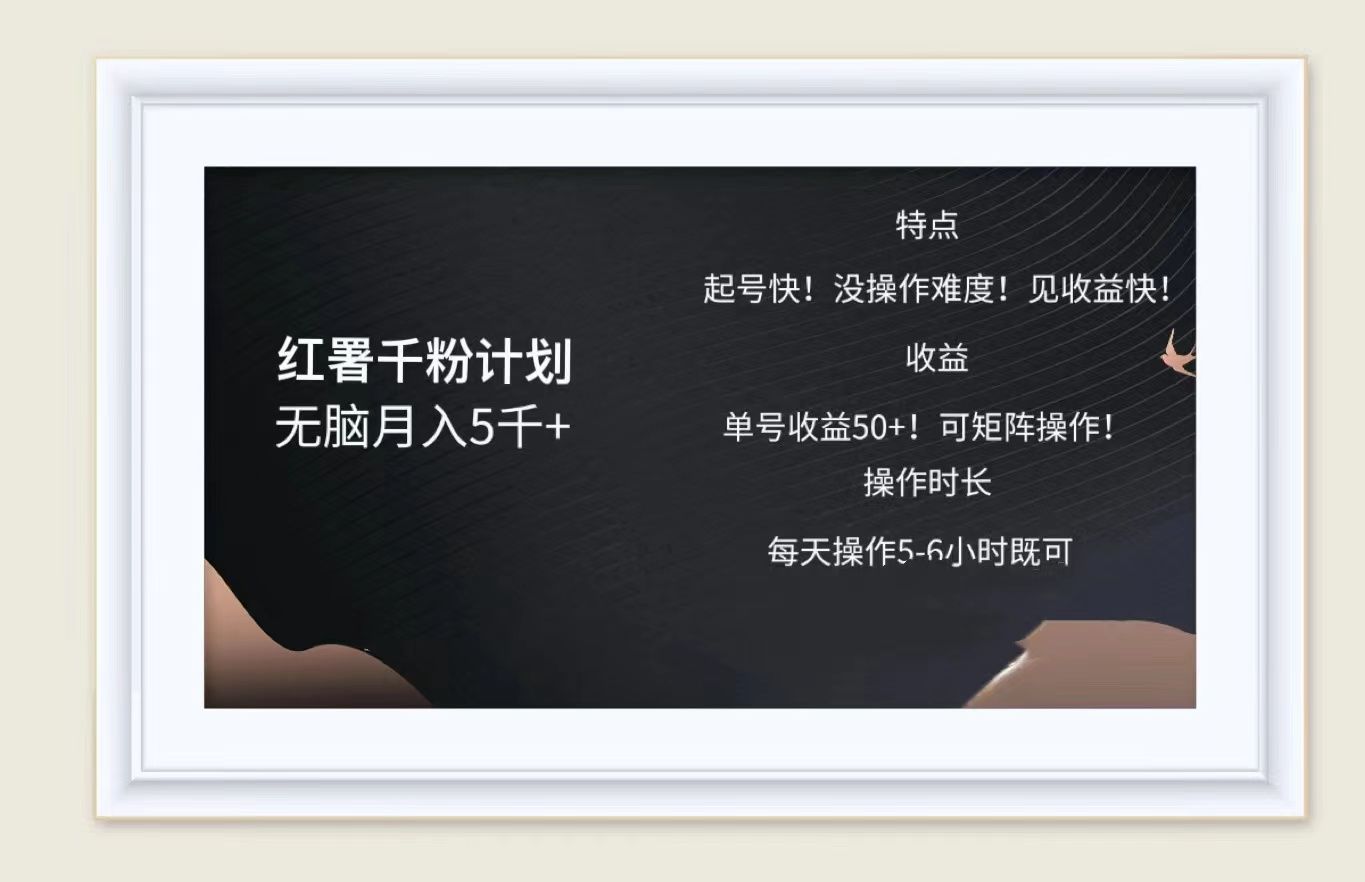 红薯千粉计划无脑月入5千➕！既做既赚！-靠谱项目库