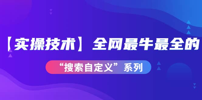 【实操技术】全网最牛最全的“搜索自定义”系列！价值698元-靠谱项目库