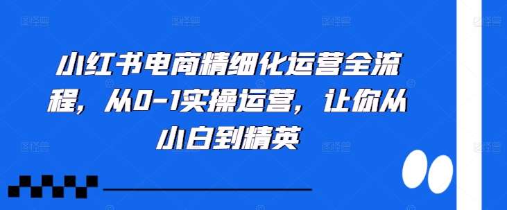 小红书电商精细化运营全流程，从0-1实操运营，让你从小白到精英-靠谱项目库