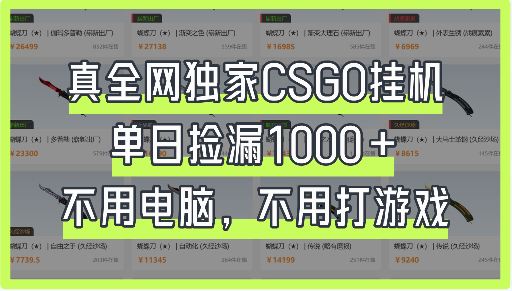 真全网独家CSGO挂机，单日捡漏1000+-靠谱项目库