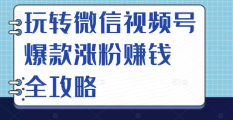 玩转微信视频号爆款涨粉赚钱全攻略，让你快速抓住流量风口，收获红利财富-靠谱项目库