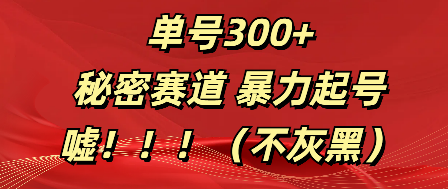 单号300+  秘密赛道 暴力起号  （不灰黑）-靠谱项目库