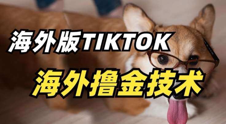 抖音海外版tiktok撸金技术，这个风口行业，赚钱真的不难【揭秘】-靠谱项目库