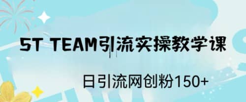 ST TEAM引流实操课，日引流网创粉100+-靠谱项目库