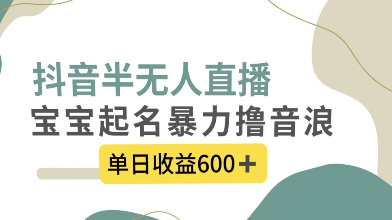 （8192期）抖音半无人直播，宝宝起名，暴力撸音浪，单日收益600+-靠谱项目库