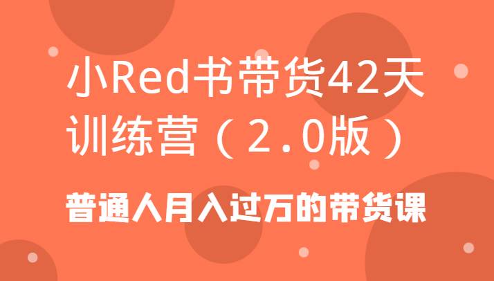 小Red书带货42天训练营（2.0版）普通人月入过万的带货课-靠谱项目库
