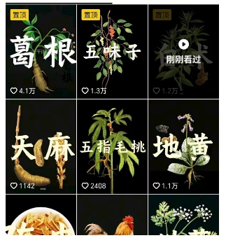 图片[2]-抖音中草药赛道，用AI做中草药故事视频，45条作品涨粉13W，橱窗带货猛猛出单-靠谱项目库