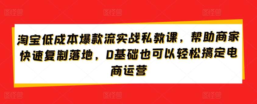 淘宝低成本爆款流实战私教课，帮助商家快速复制落地，0基础也可以轻松搞定电商运营-靠谱项目库