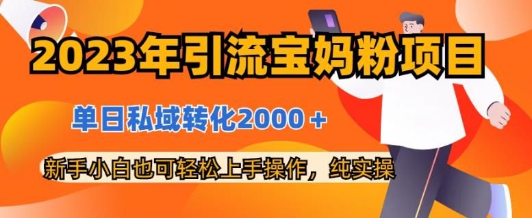2023年引流宝妈粉项目，单日私域转化2000＋，新手小白也可轻松上手操作，纯实操-靠谱项目库