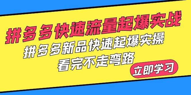拼多多-快速流量起爆实战，拼多多新品快速起爆实操，看完不走弯路-靠谱项目库