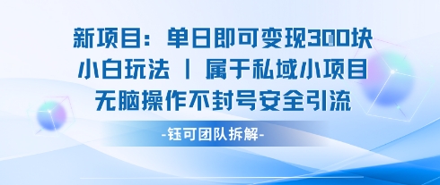 新项目单日即可变现3张的小白玩法无脑操作不封号安全引流-靠谱项目库