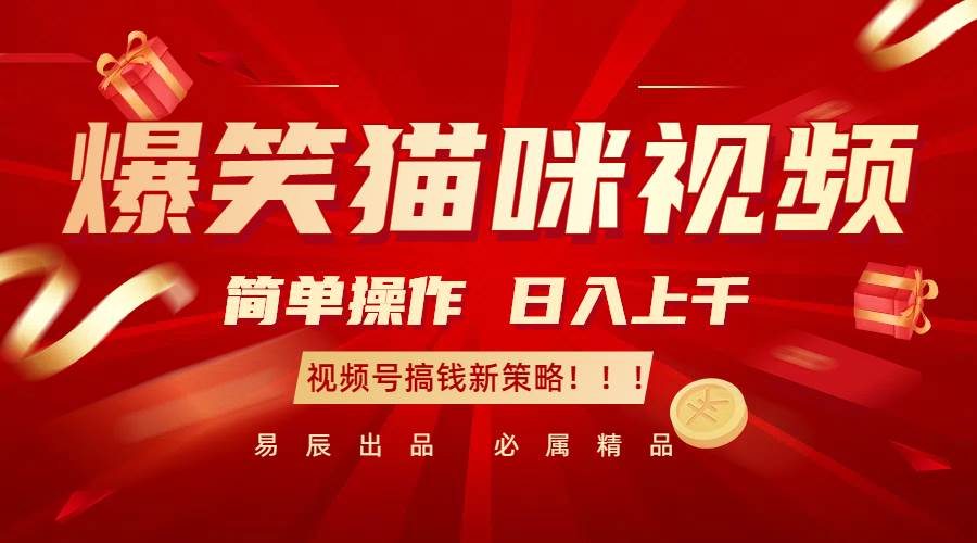 爆笑猫咪视频：简单操作，日入过千，视频号搞钱新策略！-靠谱项目库