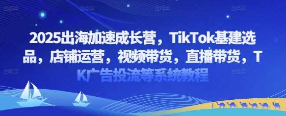 2025出海加速成长营，TikTok基建选品，店铺运营，视频带货，直播带货，TK广告投流等系统教程-靠谱项目库