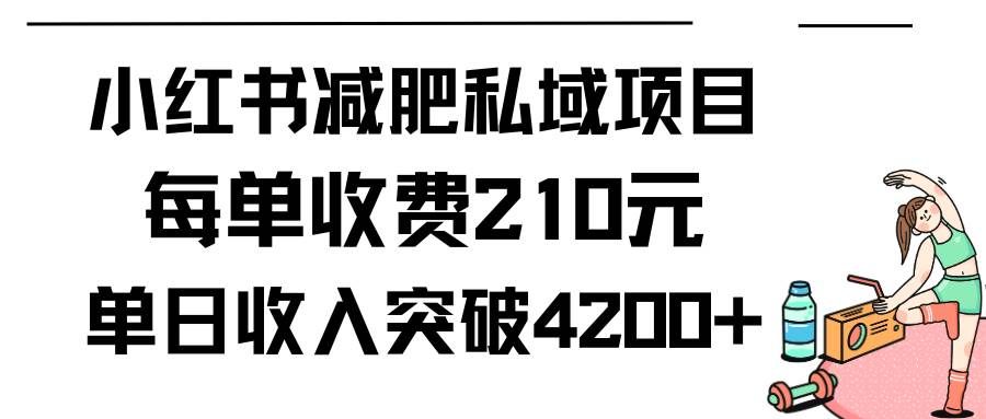 （9466期）小红书减肥私域项目每单收费210元单日成交20单，最高日入4200+-靠谱项目库