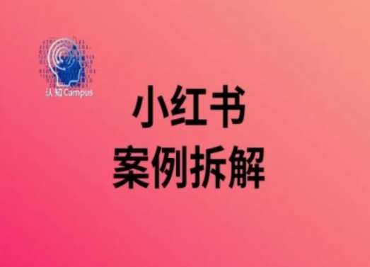 小红书案例拆解，深度解读小红书40万粉-靠谱项目库