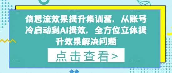 信息流效果提升集训营，从账号冷启动到AI提效，全方位立体提升效果解决问题-靠谱项目库