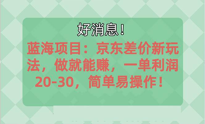 （10989期）越早知道越能赚到钱的蓝海项目：京东大平台操作，一单利润20-30，简单…-靠谱项目库