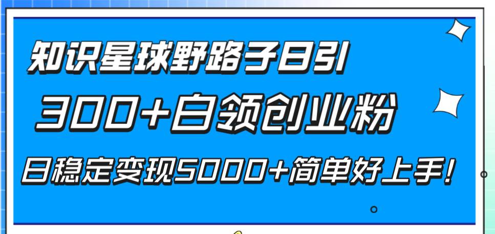 （8315期）知识星球野路子日引300+白领创业粉，日稳定变现5000+简单好上手！-靠谱项目库