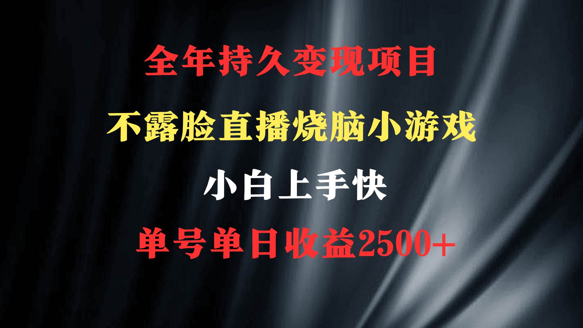 （9168期）2024年 最优项目，烧脑小游戏不露脸直播  小白上手快 无门槛 一天收益2500+-靠谱项目库