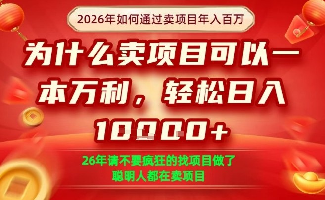 一单净利润1K+，26年想年入100个W，死磕卖项目就够了【揭秘】-靠谱项目库