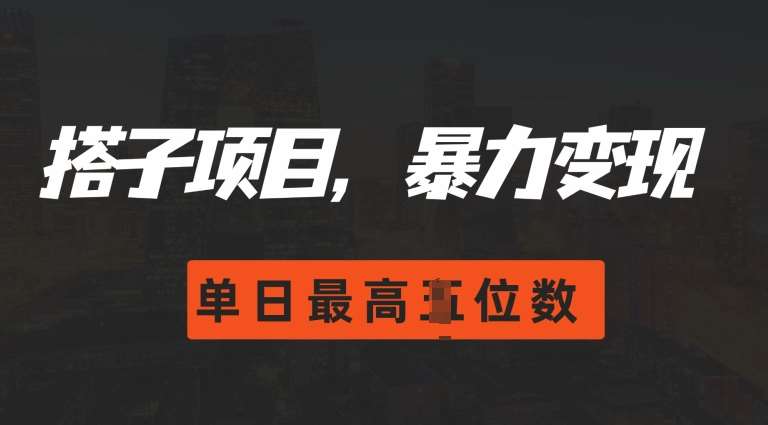 2024搭子玩法，0门槛，暴力变现，单日最高破四位数【揭秘】-靠谱项目库