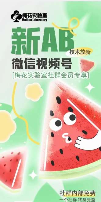 梅花实验室2024年AB技术视频号AB合成破解版-靠谱项目库