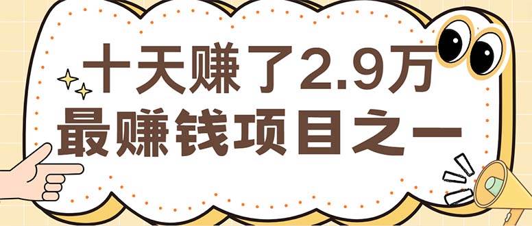 （12491期）闲鱼小红书赚钱项目之一，轻松月入6万+项目-靠谱项目库