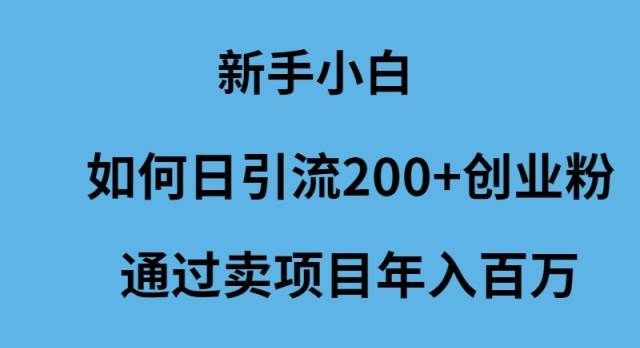 （9668期）新手小白如何日引流200+创业粉通过卖项目年入百万-靠谱项目库
