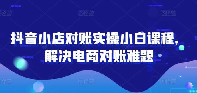 抖音小店对账实操小白课程，解决电商对账难题-靠谱项目库